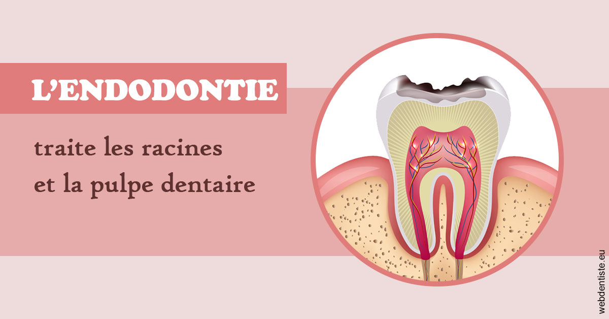 https://dr-jumeau-gersohn-corinne.chirurgiens-dentistes.fr/L'endodontie 2
