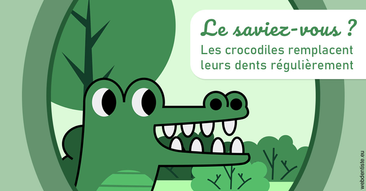 https://dr-jumeau-gersohn-corinne.chirurgiens-dentistes.fr/Crocodiles 2